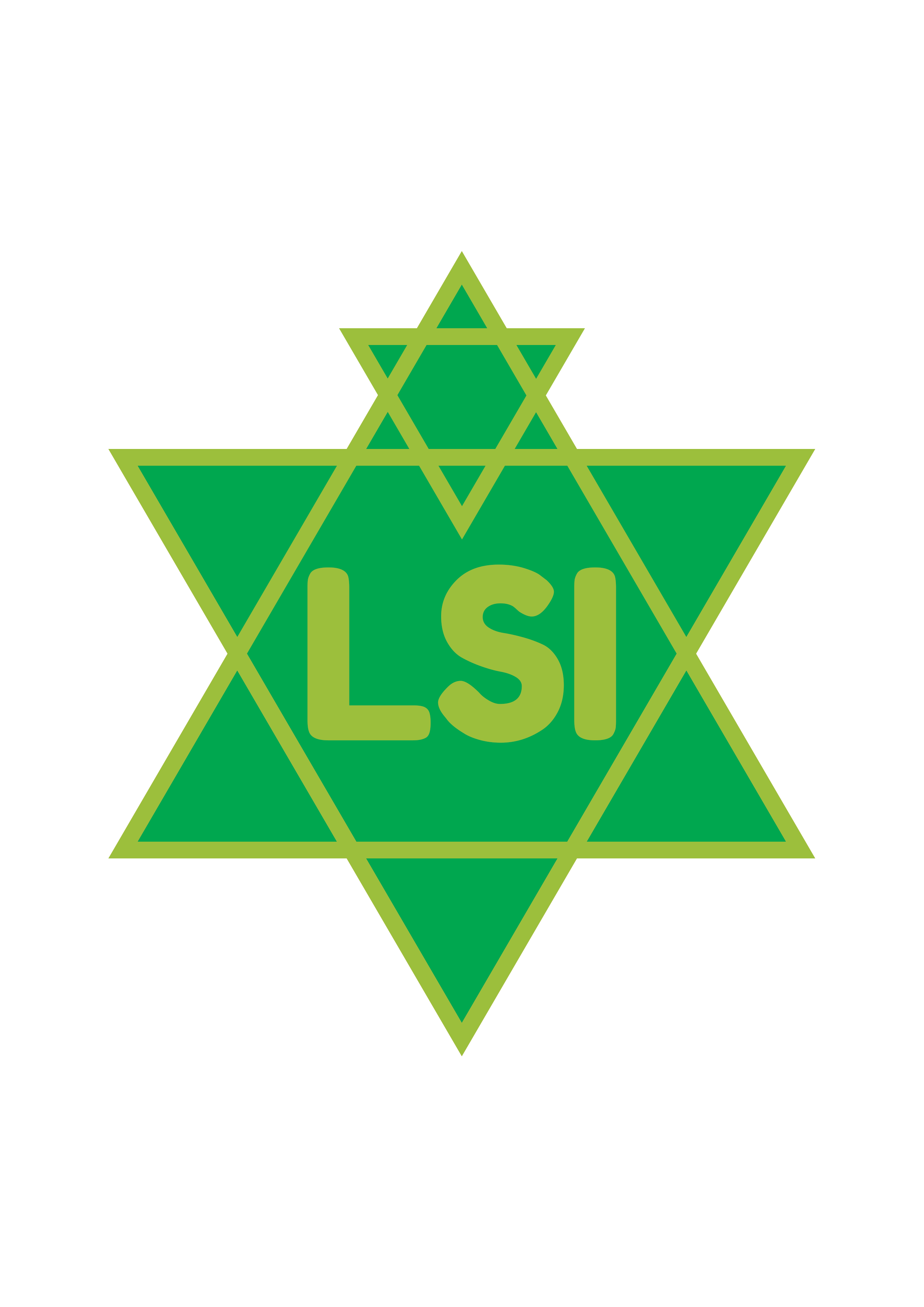 LSI logo
